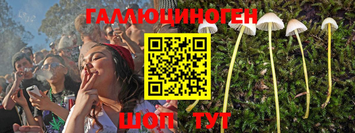 Жуковский  Галлюциногенные грибы GOLDEN TEACHER  Вход с VPN 